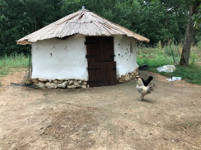 Cob chicken coop hand built from stones, straw and glorious mud!