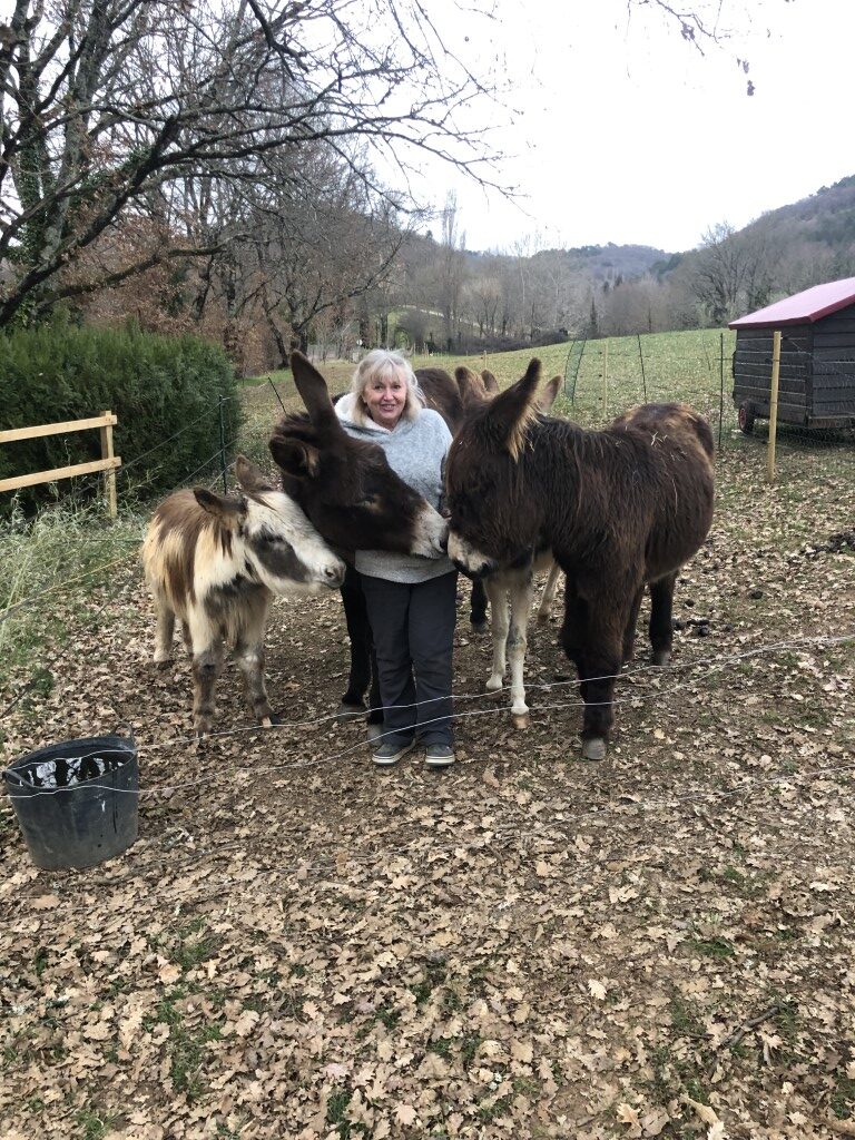 life on the farm | Sky's book