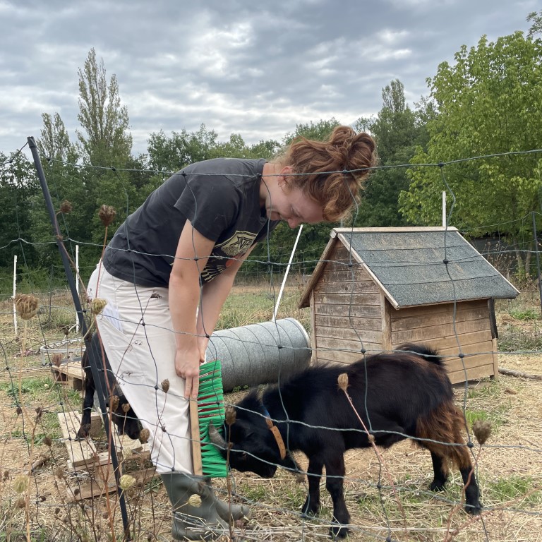 Feeding our farm animals