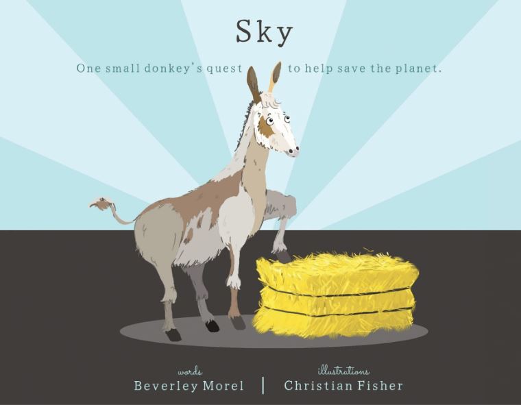 sky's book