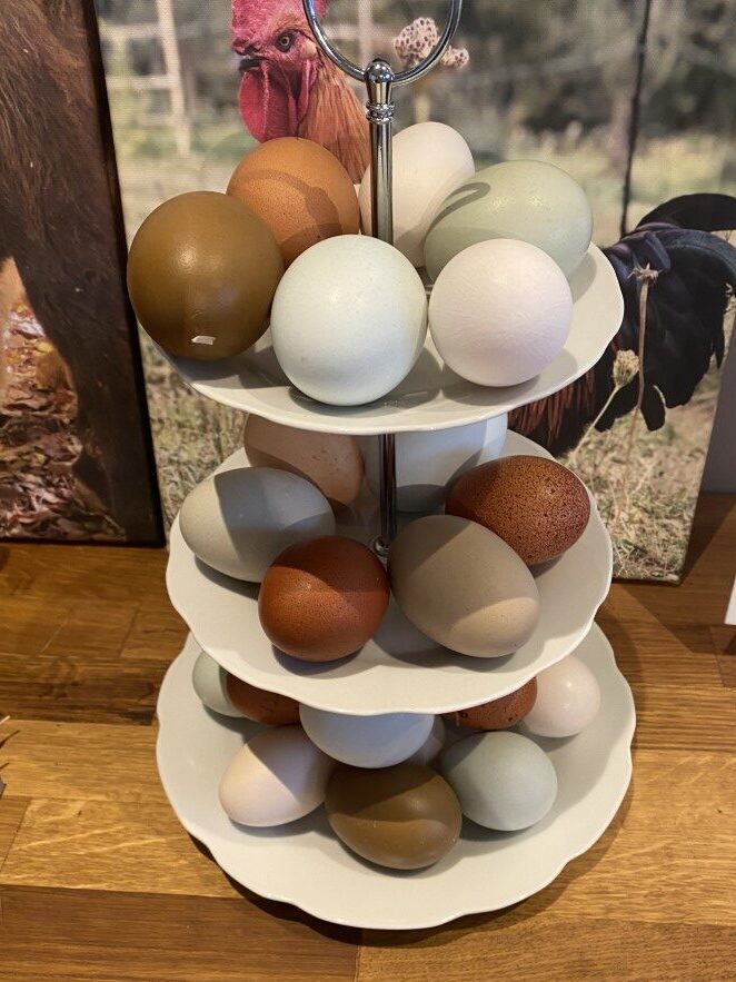 Eggs - washed eggs or unwashed eggs