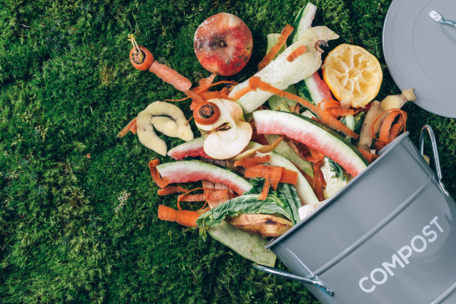 food-waste in a compost bin
