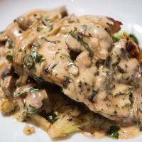 mushroom and garlic sauce forestiere with chicken, pork or veg