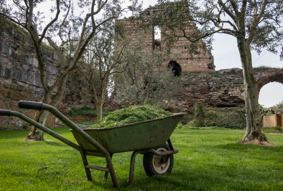 grass clippings blog gardening reuse