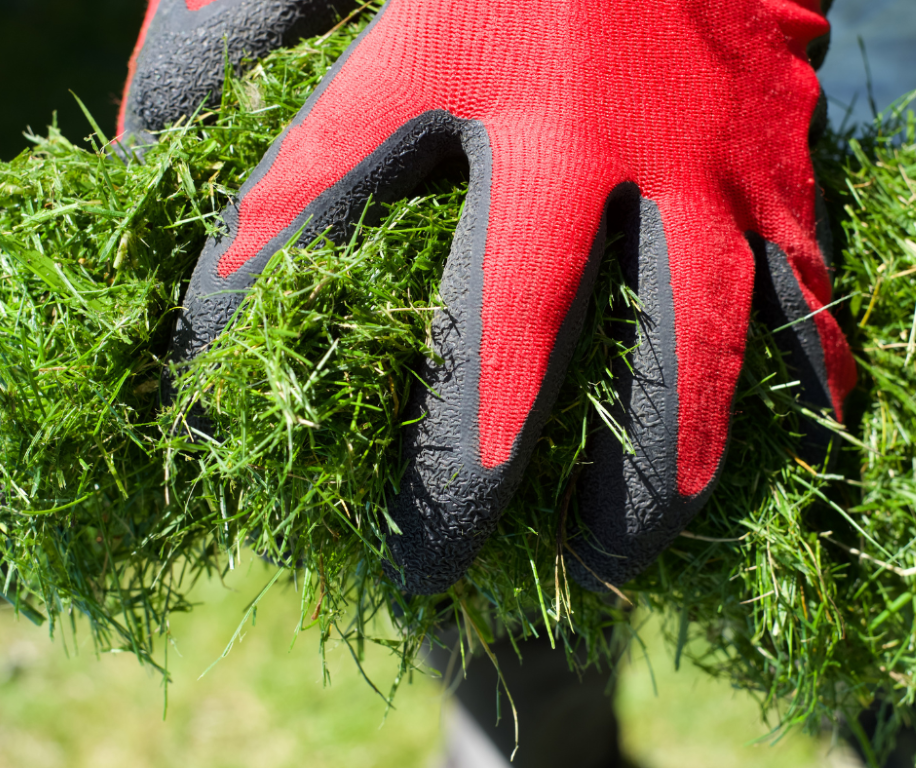 grass clippings blog gardening reuse