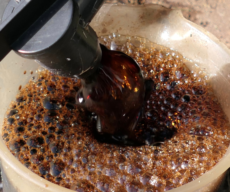 Worm tea - not for human consumption