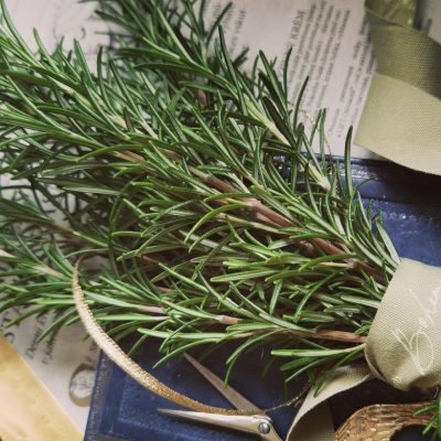 Rosemary bouquet. Featured image. natural air freshener - rosemary, boiling rosemary