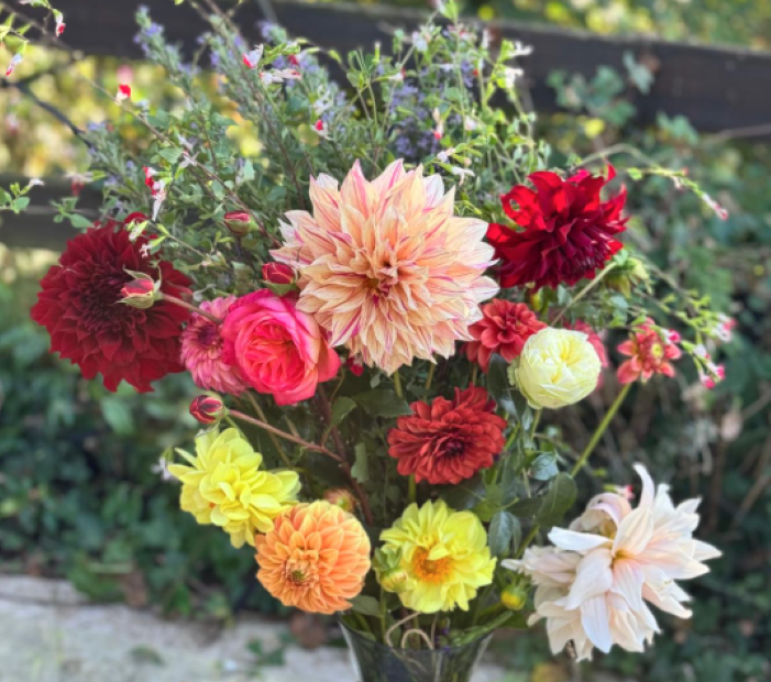 Lifting Dahlias featured image on blog