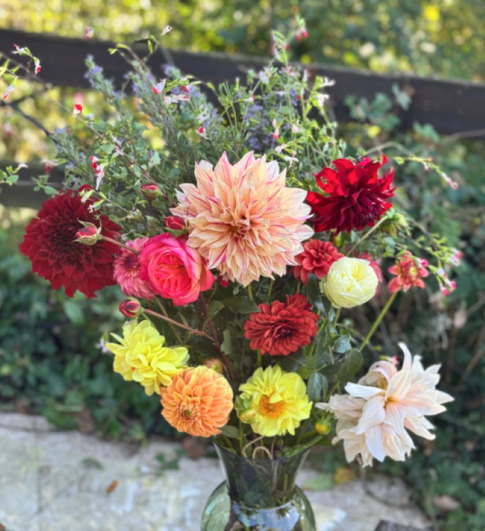 Lifting Dahlias featured image on blog