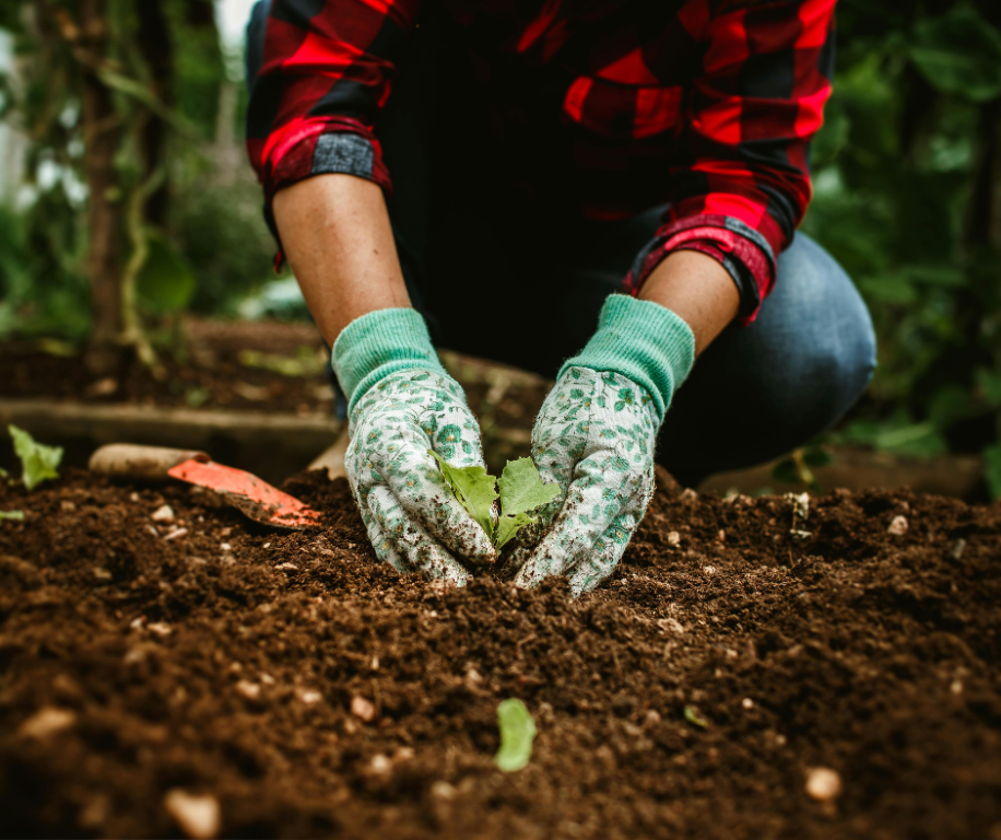 planting seeds and veg Bourdicou 20260317