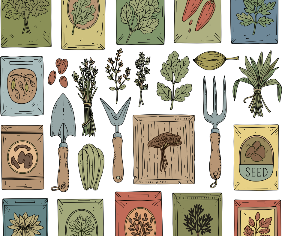 The joy of planting seeds and vegetables La ferme du Bourdicou 20260317