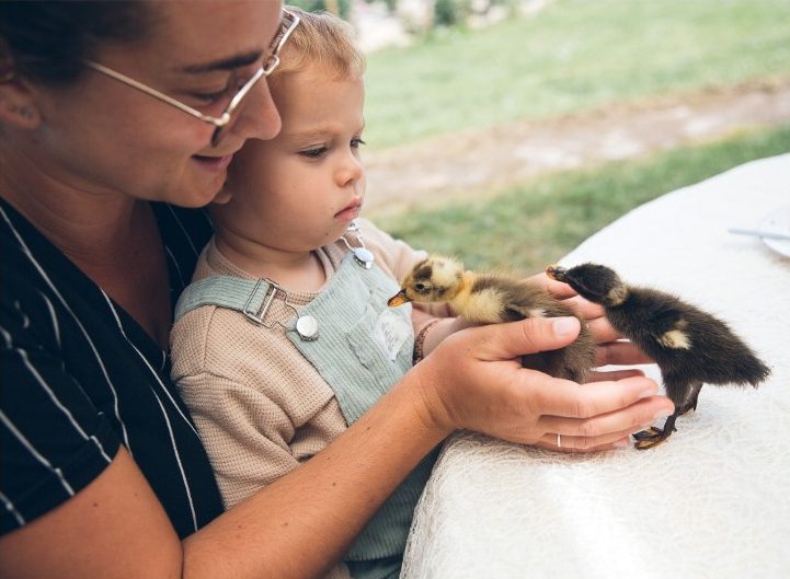 Walking tour of the farm - AirBnB new experience