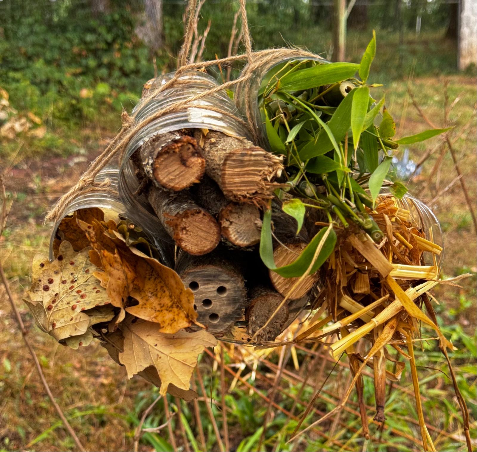 Beverley's Blog - build a bug hotel