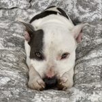 what you do makes a difference