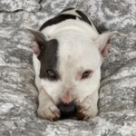 what you do makes a difference