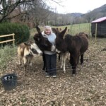 life on the farm | Sky's book