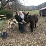 life on the farm | Sky's book