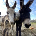 home page featured image