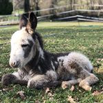 Our Story | About Us | Sky's Books