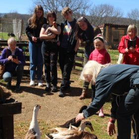 Beverley Morel Walking tour April 2023