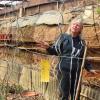 Beverley Morel author of the blog posts