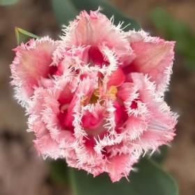 memorable moments - april to june