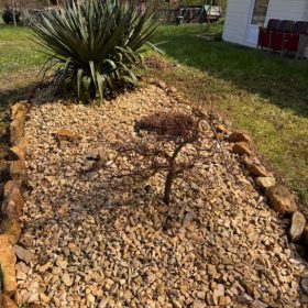 memorable moments - april to june