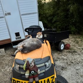 memorable moments - july to september