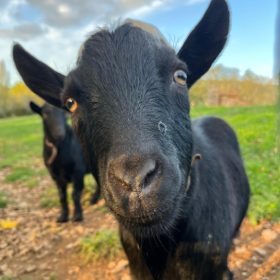 memorable moments - january to march