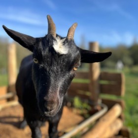 memorable moments - january to march