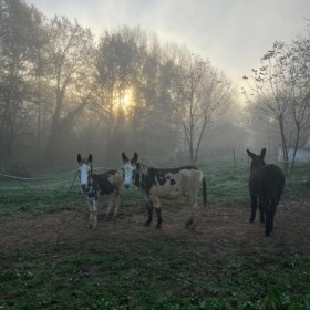 memorable moments - january to march