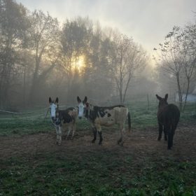 memorable moments - january to march