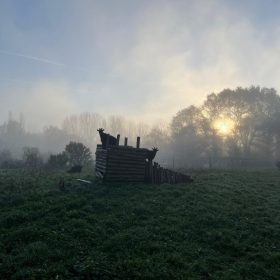 memorable moments - january to march