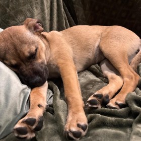 memorable moments - january to march