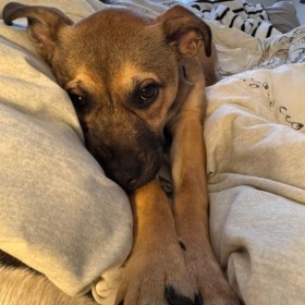 memorable moments - january to march