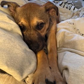 memorable moments - january to march