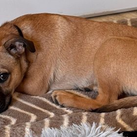 memorable moments - january to march