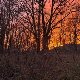 memorable moments - january to march