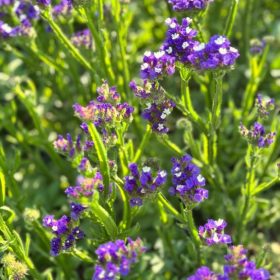 memorable moments - april to june