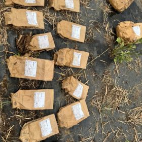 memorable moments - april to june