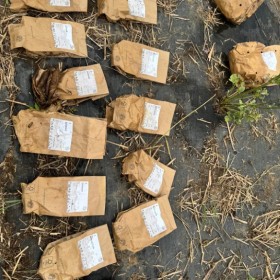 memorable moments - april to june