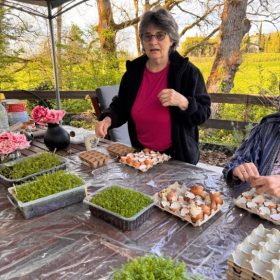 memorable moments - april to june