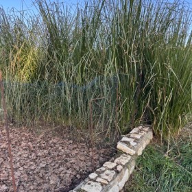 memorable moments - october to december