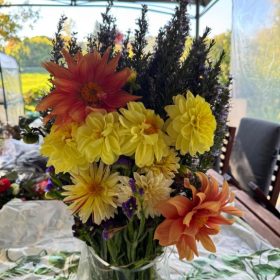 memorable moments - october to december