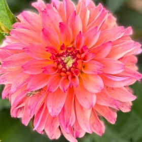 memorable moments - july to september