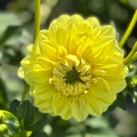 memorable moments - july to september