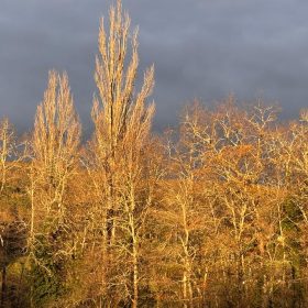 Bright crisp December morning