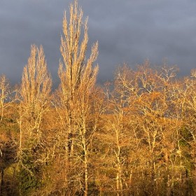 Bright crisp December morning