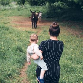 Walking tour of the farm - AirBnB new experience. © 2026 beauhartphotography