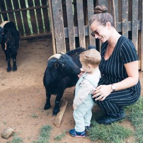 Walking tour of the farm - AirBnB new experience. © 2026 beauhartphotography